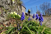 Anello con neve del Monte Gioco da Spettino il 22 marzo 2018 - FOTOGALLERY